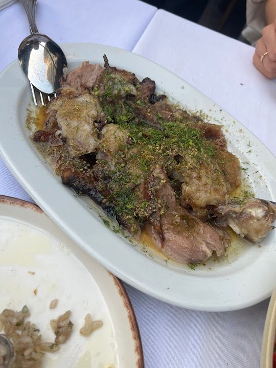 Fotoğraf 79