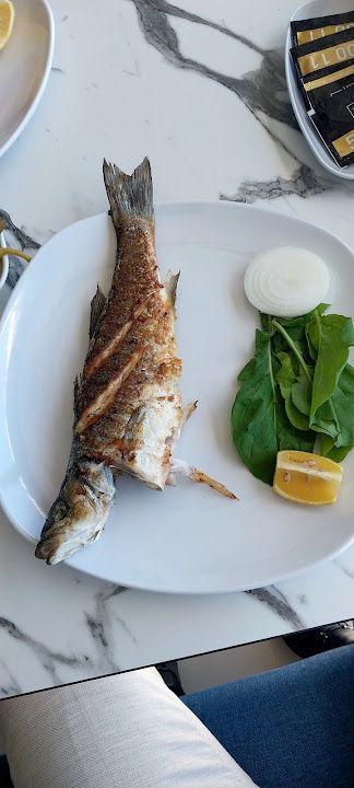 Fotoğraf 44