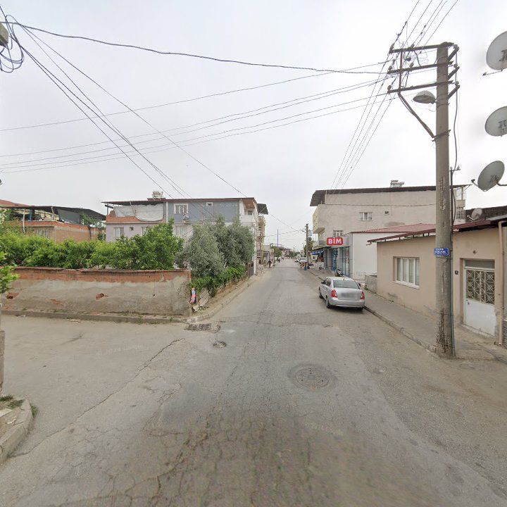 Fotoğraf 8