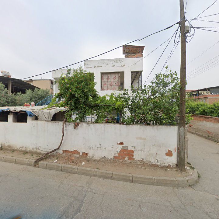 Fotoğraf 7