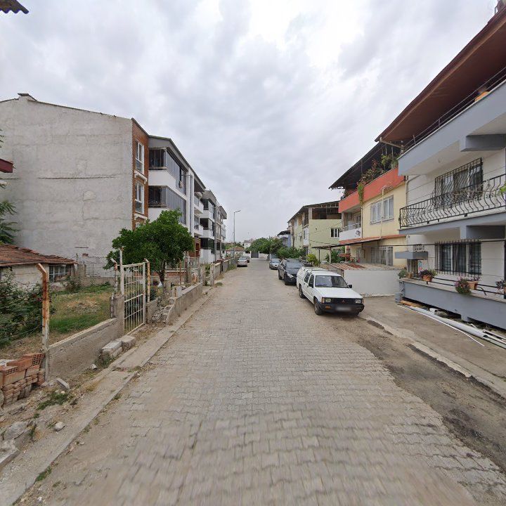 Fotoğraf 3