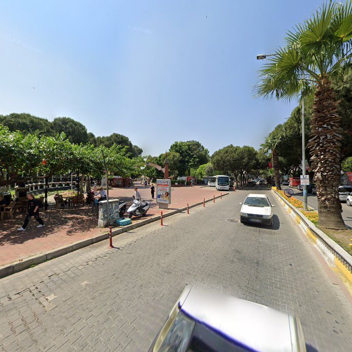 Fotoğraf 10