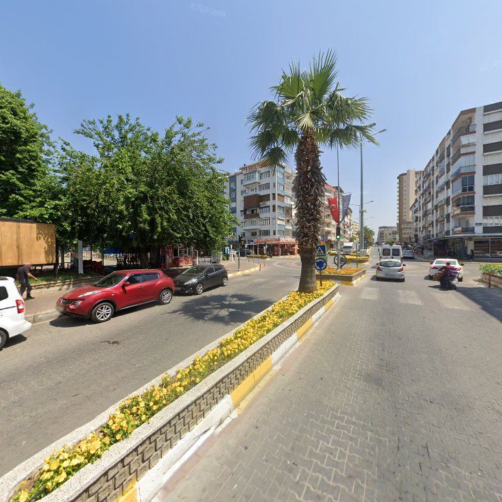 Fotoğraf 12