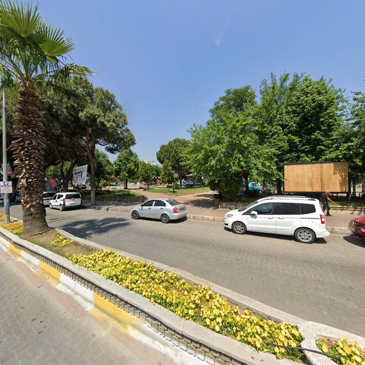 Fotoğraf 11