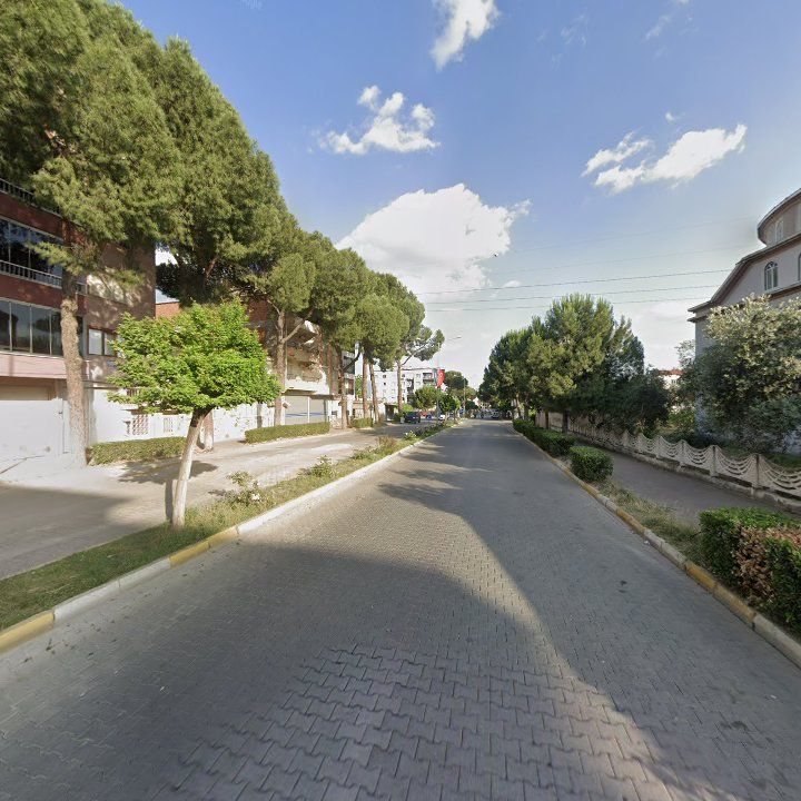 Fotoğraf 7
