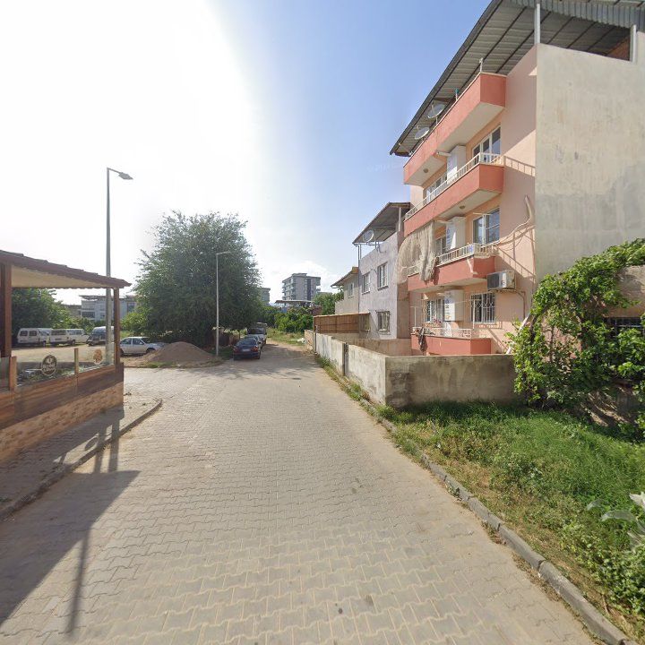 Fotoğraf 10