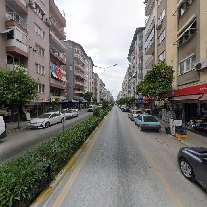 Fotoğraf 8