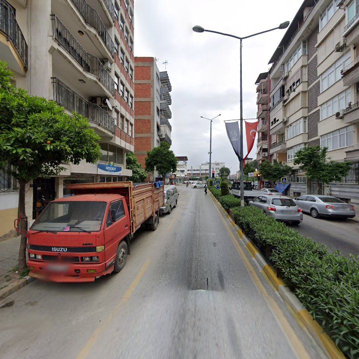 Fotoğraf 10