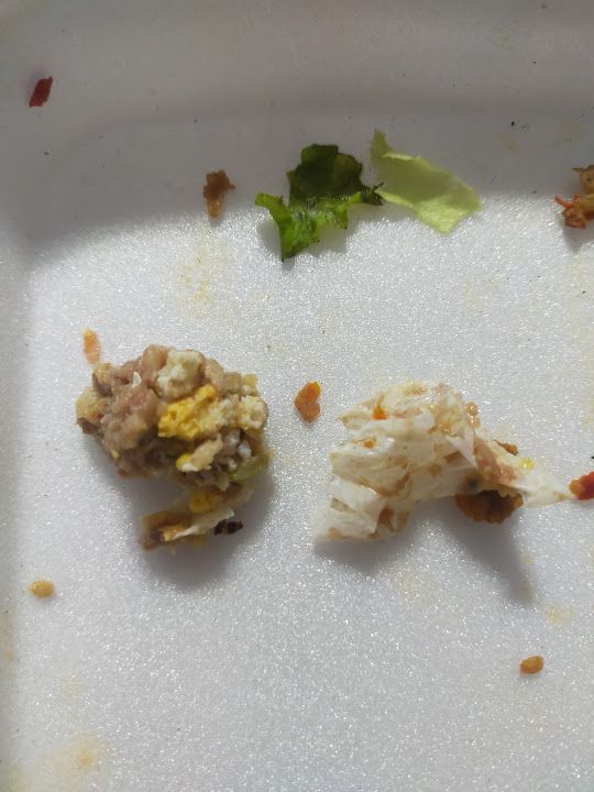 Fotoğraf 22