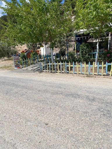 Fotoğraf 17