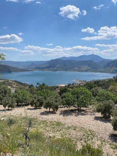 Fotoğraf 18