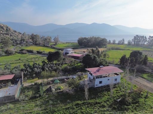 Fotoğraf 26