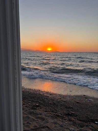 Fotoğraf 24