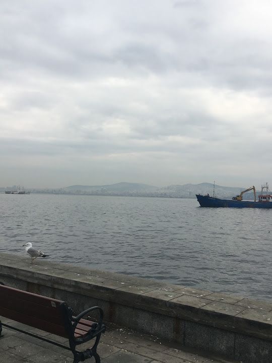 Fotoğraf 9
