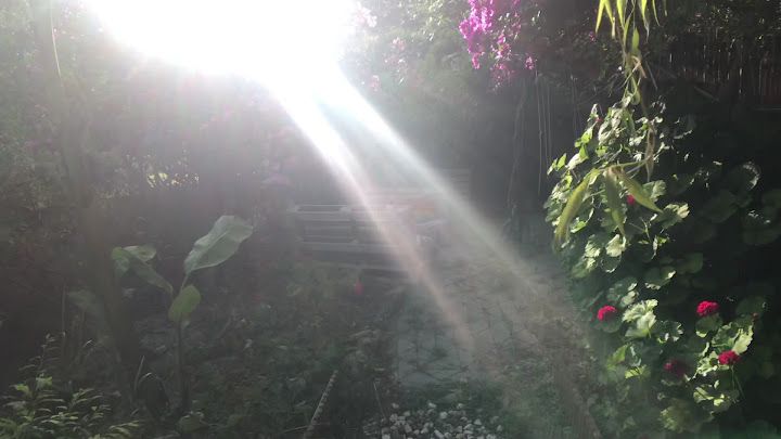 Fotoğraf 14