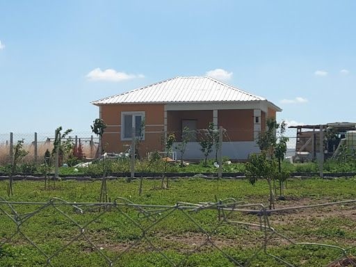 Yorum fotoğrafı 5