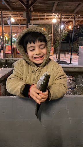 Yorum fotoğrafı 5