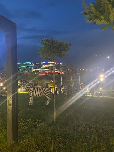 Yorum fotoğrafı 9