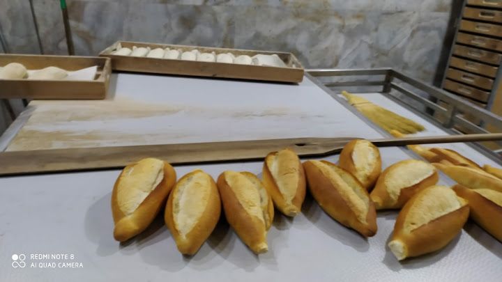 Fotoğraf 16