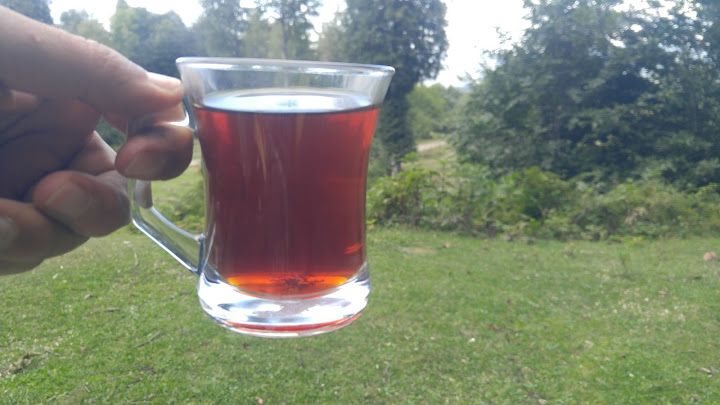 Fotoğraf 16