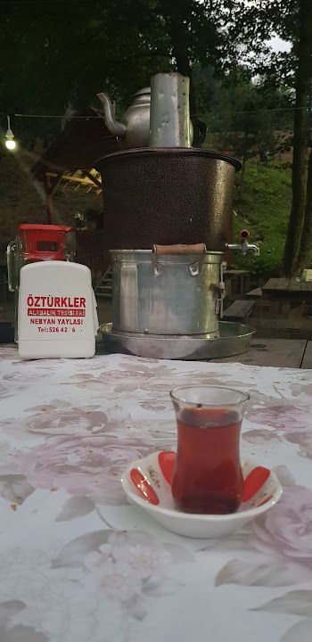 Fotoğraf 15