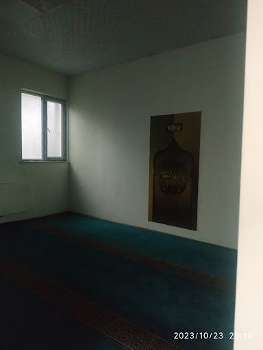 Yorum fotoğrafı 5