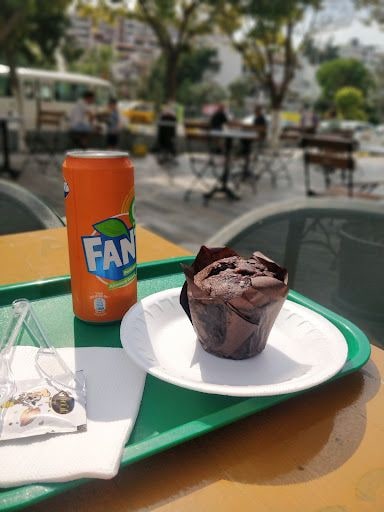 Fotoğraf 13