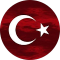 necati söğütlü
