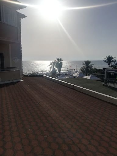 Fotoğraf 15