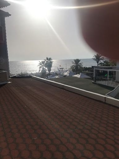 Fotoğraf 16
