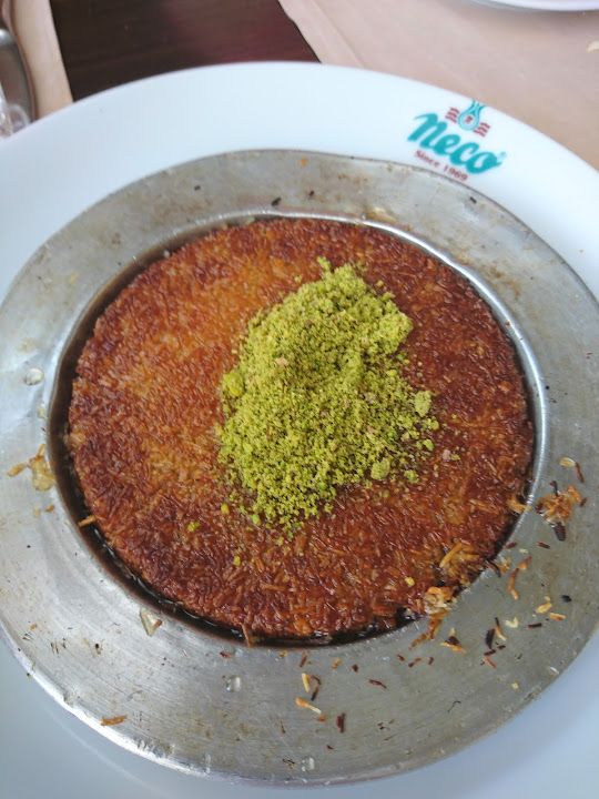 Fotoğraf 17