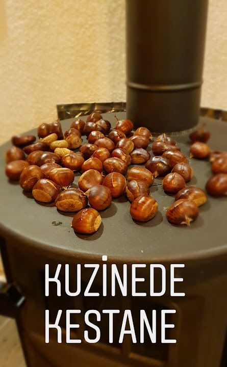 Fotoğraf 18