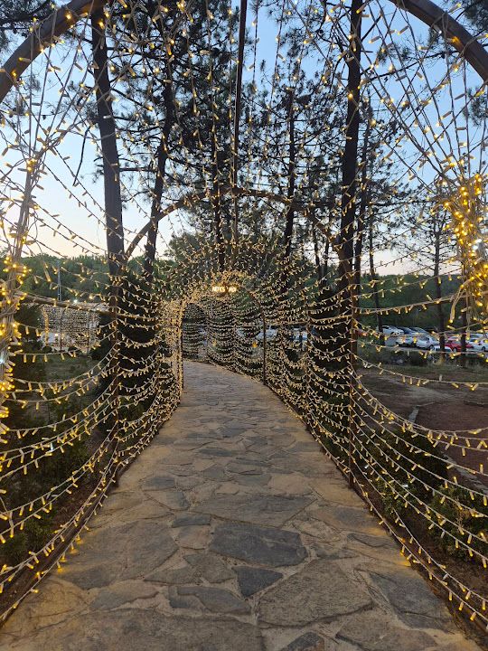 Fotoğraf 25