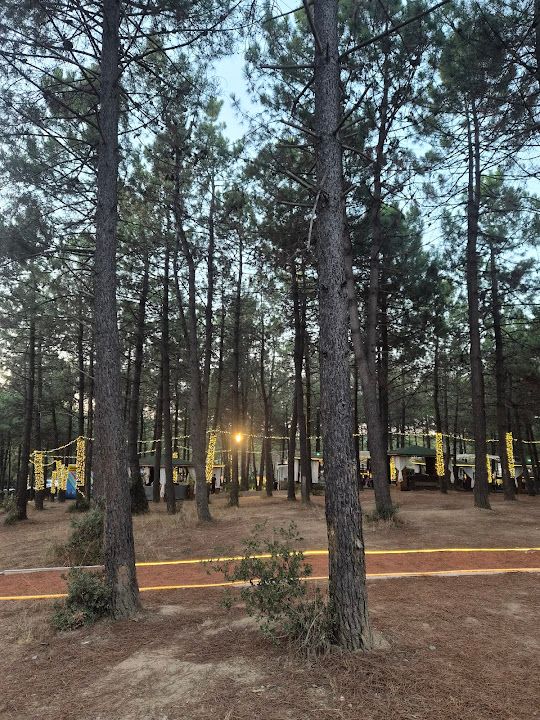 Fotoğraf 28