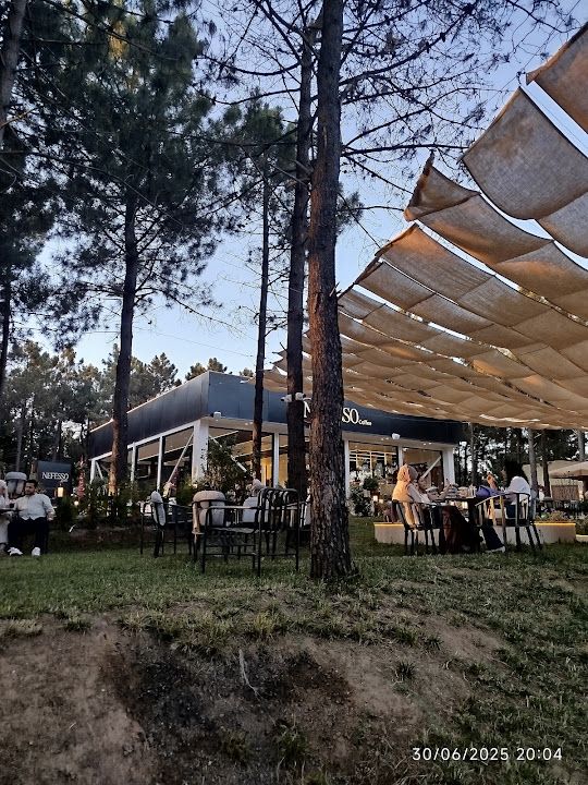 Fotoğraf 29
