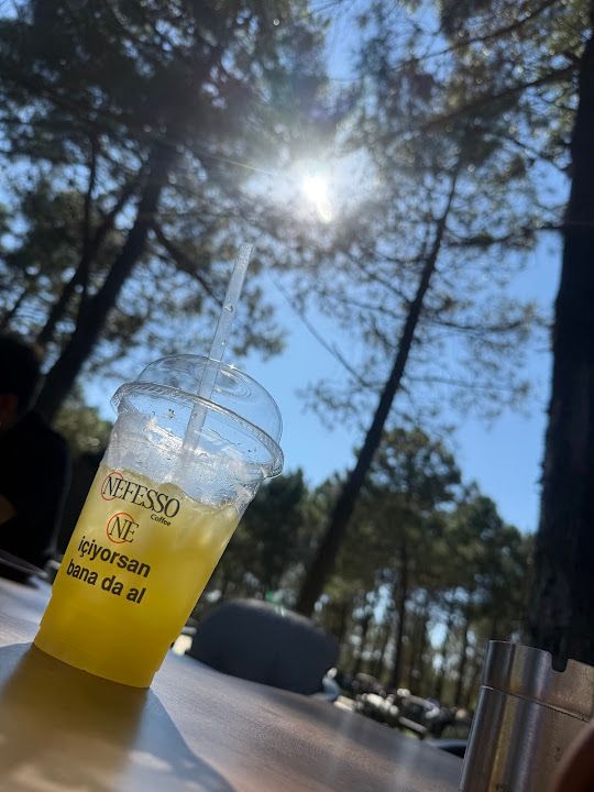 Fotoğraf 14