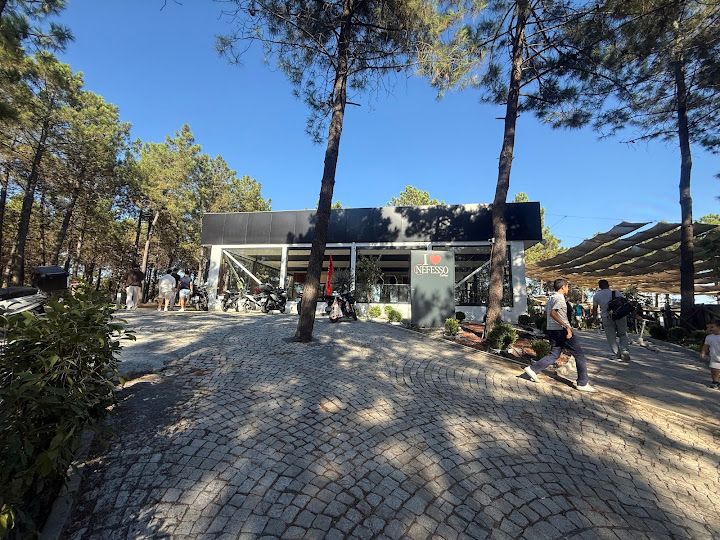 Fotoğraf 16