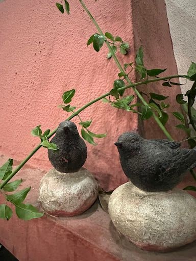 Yorum fotoğrafı 5