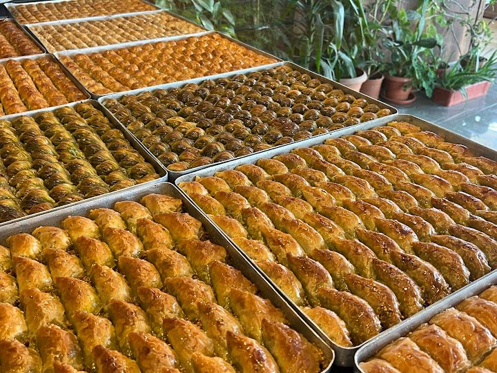 Fotoğraf 24