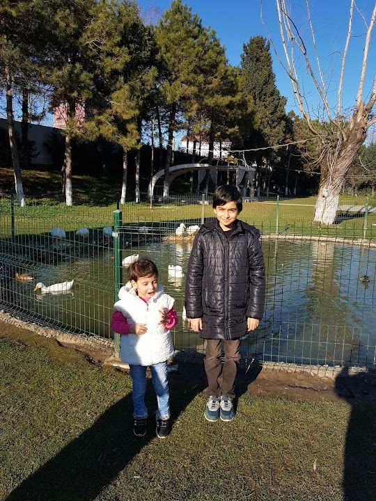 Fotoğraf 50