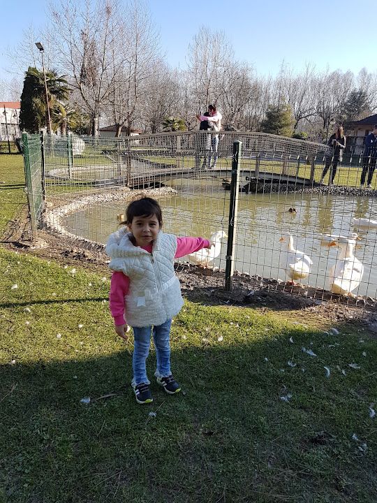 Fotoğraf 49