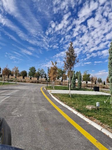 Yorum fotoğrafı 4