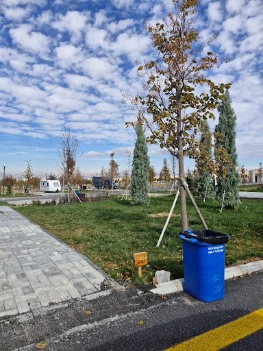 Yorum fotoğrafı 5