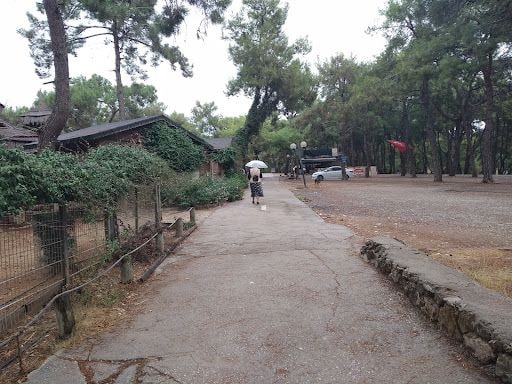 Yorum fotoğrafı 10