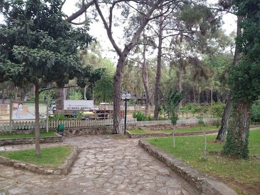 Yorum fotoğrafı 3
