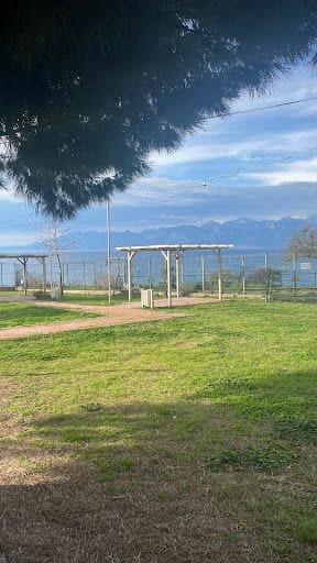 Fotoğraf 48