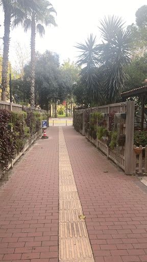 Fotoğraf 41