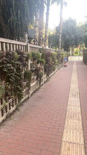 Fotoğraf 42
