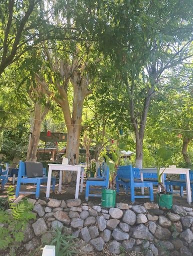 Yorum fotoğrafı 4