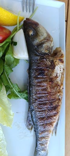 Yorum fotoğrafı 5